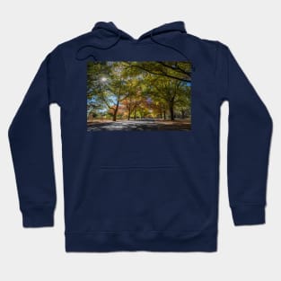 Honour Avenue, Mount Macedon, Victoria, Australia. Hoodie